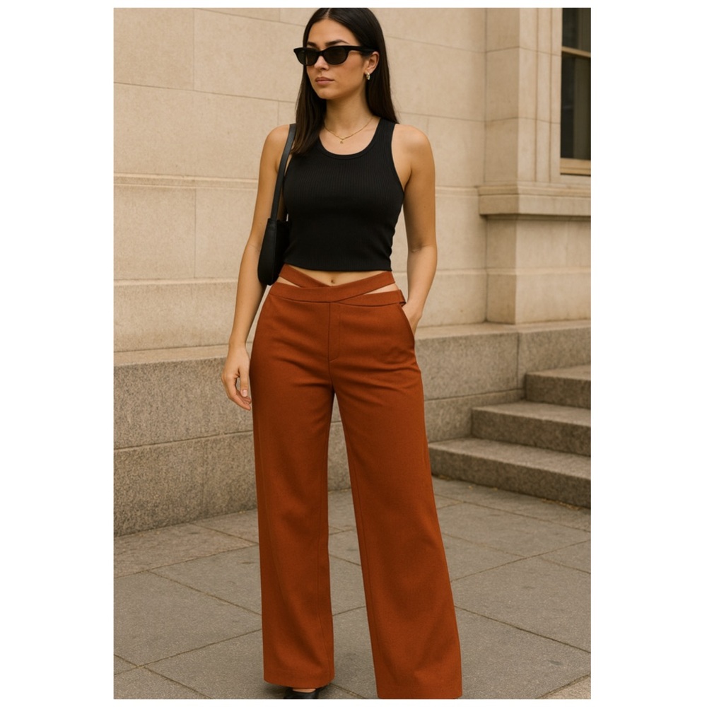 WALTER BAKER Cinnamon Brown Cutout Wide Leg Trousers Pants Size 4 NWT